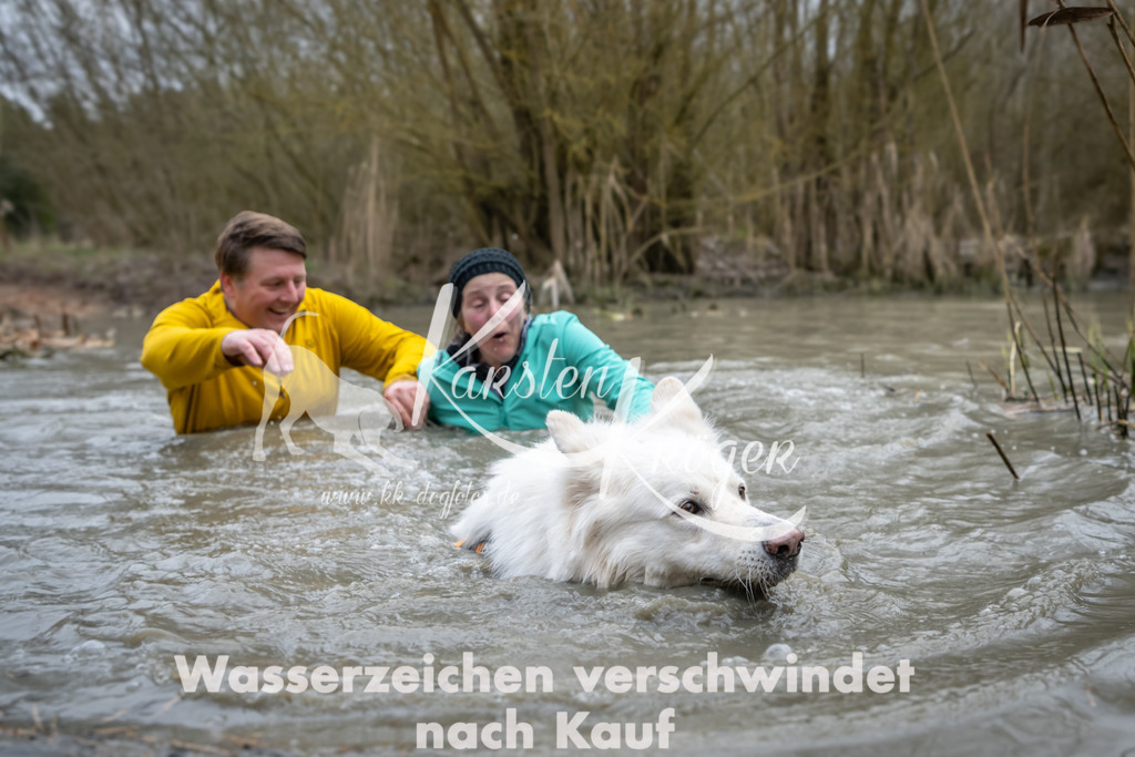 1418_ZZ98278 | kk-dogfotos