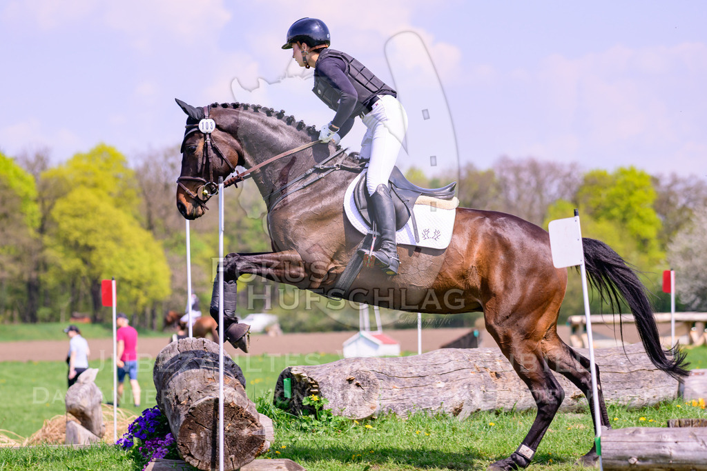 18042026-Gernlinden-01-1-0412 | Fokus Hufschlag Fotografie - Realisiert mit Pictrs.com