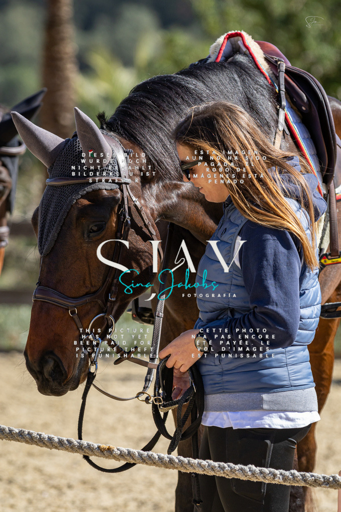 IMG_6430 | s-jay-photography - Realisiert mit Pictrs.com