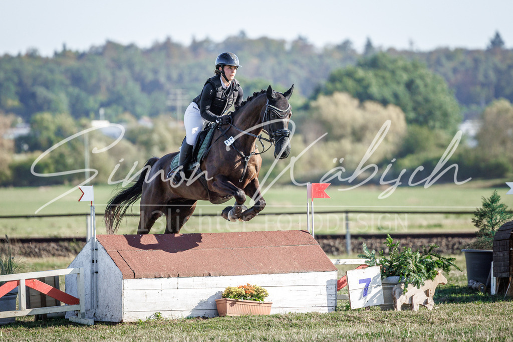 20260905-_3LI0636 | Tierfotografie Pferde, Hunde, Katzen, Haustiere.
Turnierfotografie Reitturniere, Reiten, Springreiten, Dressur in Hanau, dem Main-Kinzig-Kreis und dem Rhein-Main- Gebiet um Frankfurt