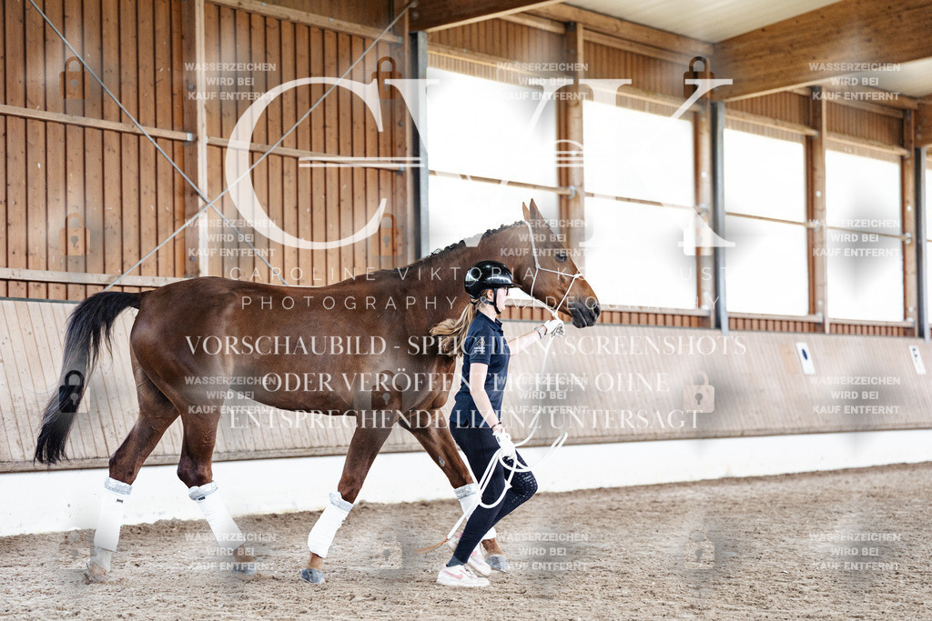 CK908271 | Turnierfotografie Pferdefotografie Trier Rheinland-Pfalz Pferdesport Reitsport Tierfotografie Sportfotografie Pferdevideo Pferdevideografie Equestrianvideography equestrianphotography  - Realisiert mit Pictrs.com