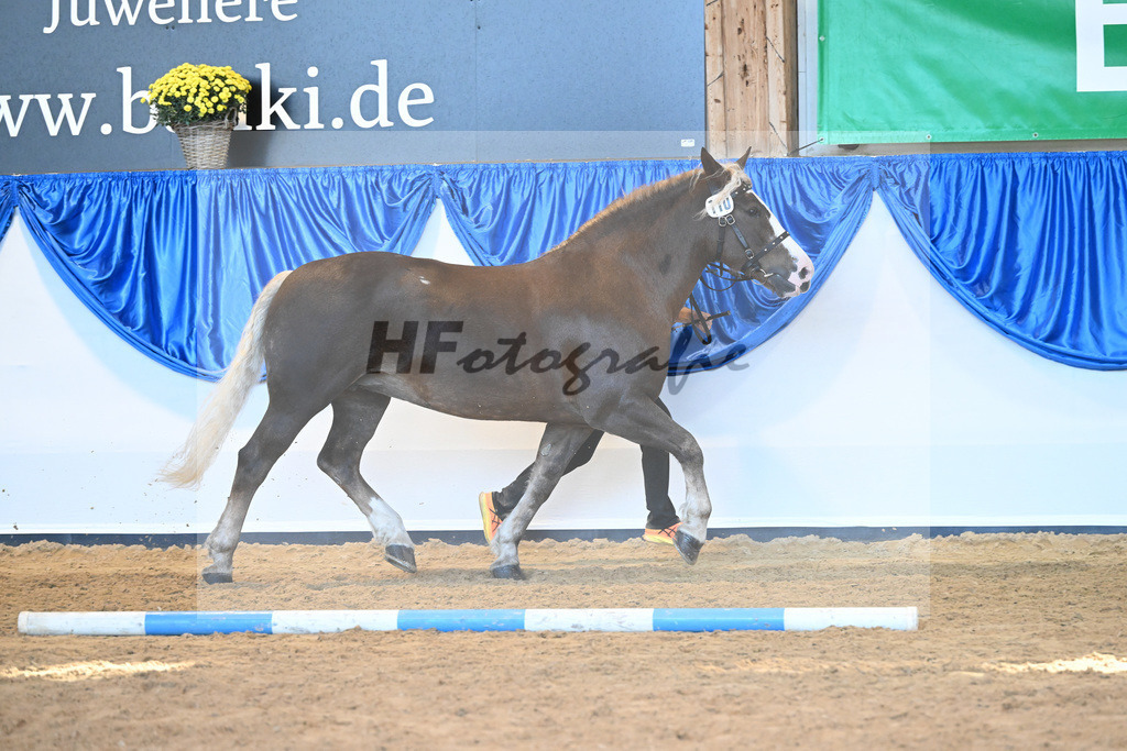 Kat-Nr. 110 Nele_Abel_53220786 | hf-fotografie - Realizzato con Pictrs.com
