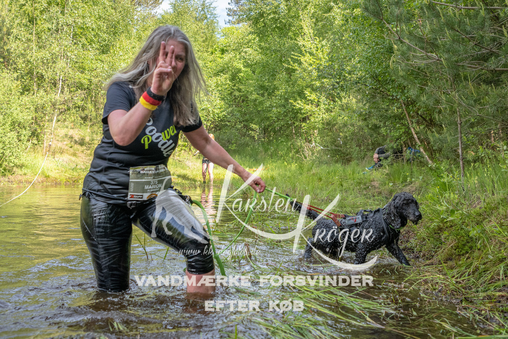0951DKK9_ZZ93541 | kk-dogfotos