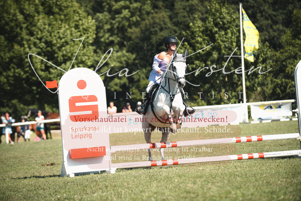 DSC_7558 | Pferde- und Turnierfotografie in Westsachsen. Pferdeportraits, Auftragszeichnungen und intuitive Kunst.