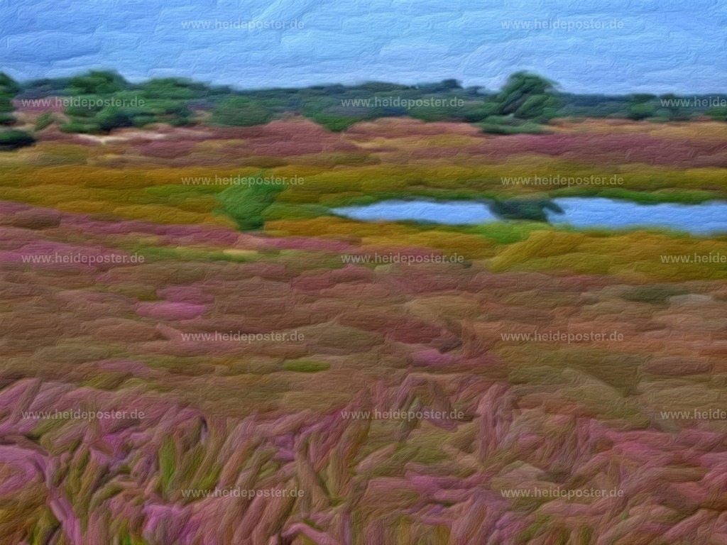 brushed_DSCF3361-b | Poster aus der Lüneburger Heide - Realisiert mit Pictrs.com