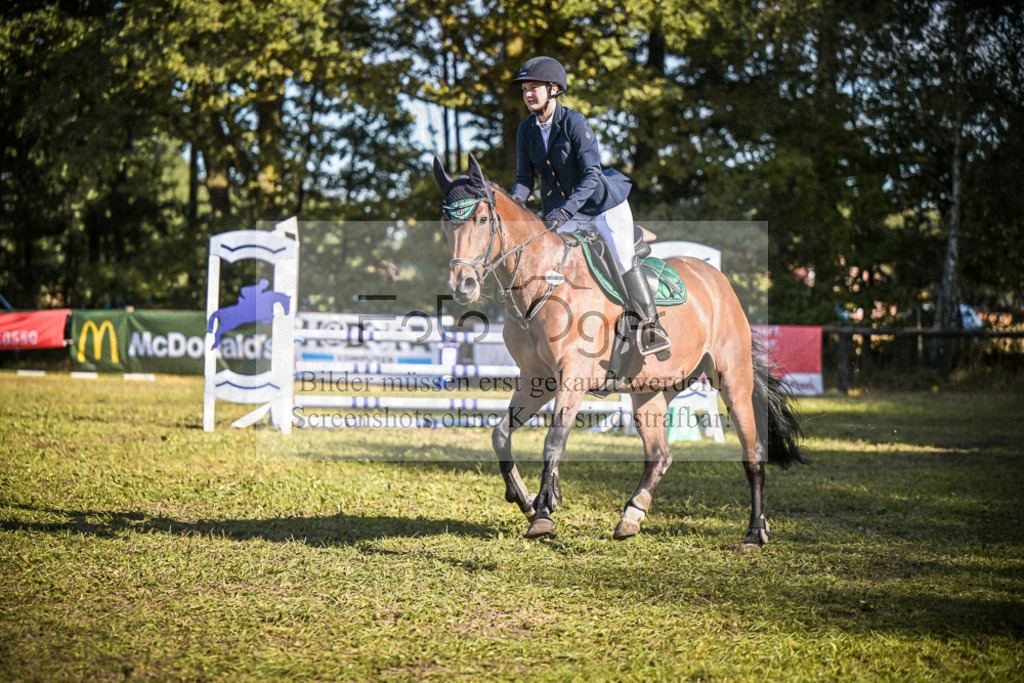 DOS_1131 | Entdecke hochwertige Reitturnierfotos von Foto Oger. Professionell, emotional und authentisch – jetzt Lieblingsmomente im Shop bestellen.Deutschlandweite Turnierfotografie. - Realisiert mit Pictrs.com