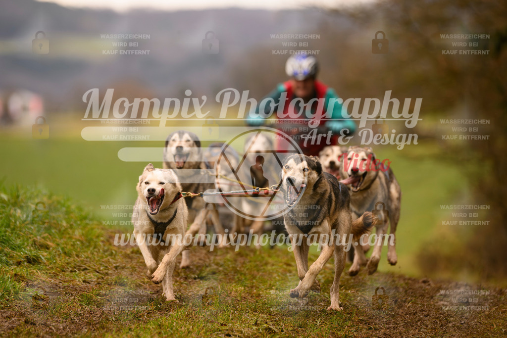 MompixPhotography_2SSTSSBW_2025_SO_Kart-50 | PayLife