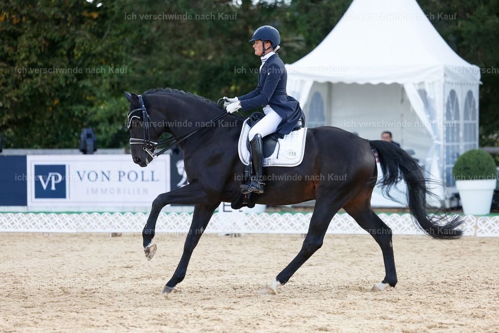 09_1-115-DRESSUR  S_  -StoibPH-5606 | working equitationturnier fotograf videograf stoibphotography marixx film working equitation deutschland reitsport turnierfotografie eventfotografie equestrian events