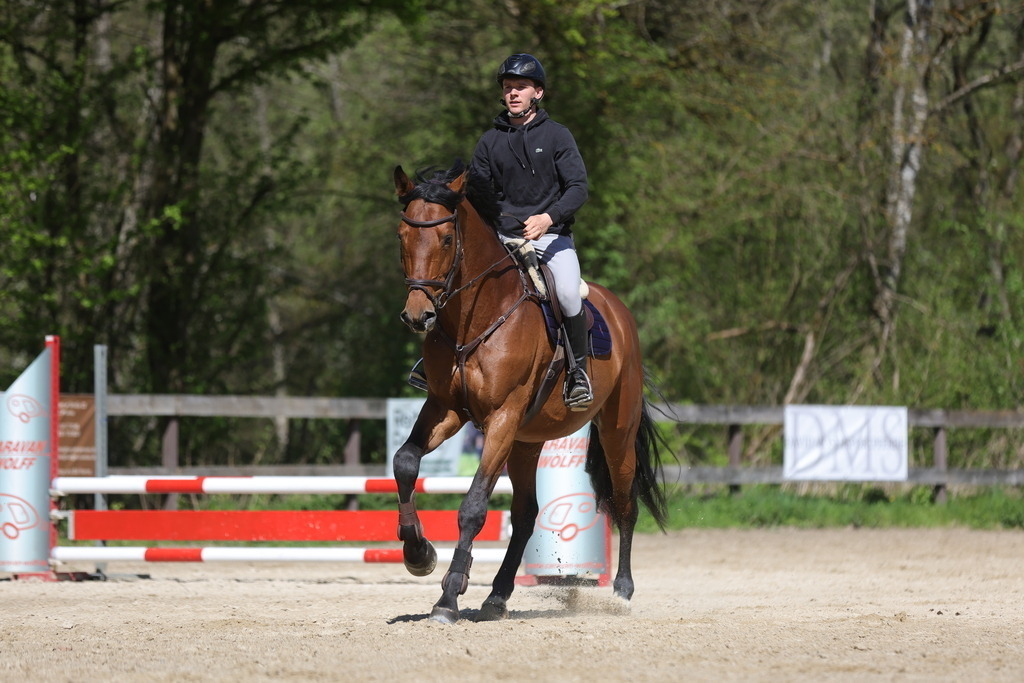 0P6A8160 | Willkommen bei Brunnmayr - Design & Fotografie – Ihrem Spezialisten für Reitturniere und Pferdeveranstaltungen in Oberösterreich, Salzburg und Bayern! Seit über 17 Jahren sind wir leidenschaftlich dabei.