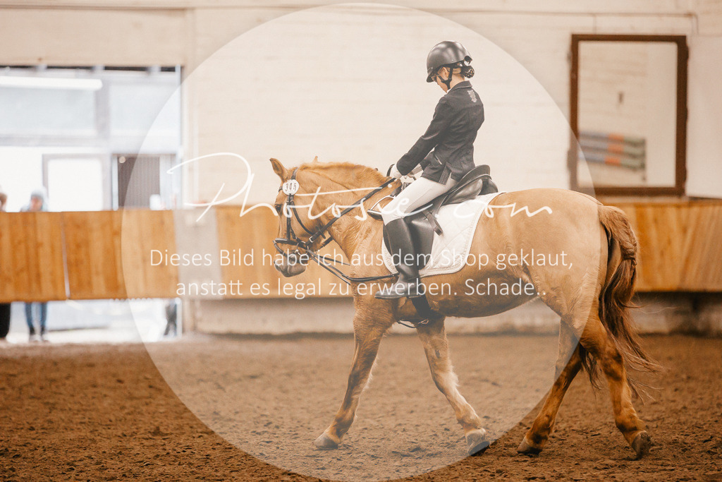3I6A6357 | Stimmungsvolle Portraits und Reitsportfotografie im Ruhrgebiet und im Münsterland.

Pferdefotografie, Hundefotografie, Tierfotografie, Reportagen, Portraits von Tier und Mensch, Turnierfotografie in Bochum, Recklinghausen, Marl, Haltern am See, Dülmen.. - Realisiert mit Pictrs.com