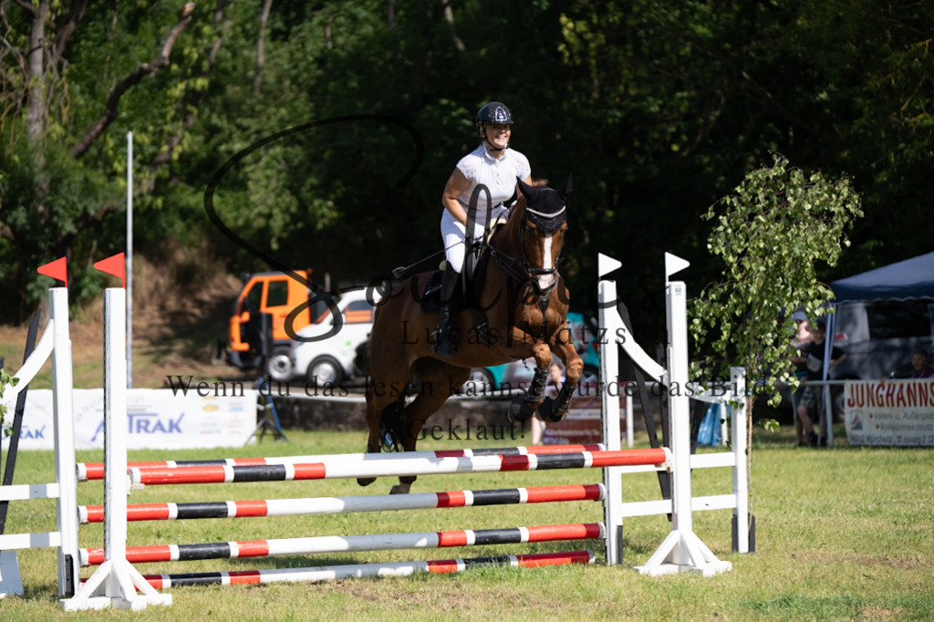 A7V05469 | Pferdefotograf