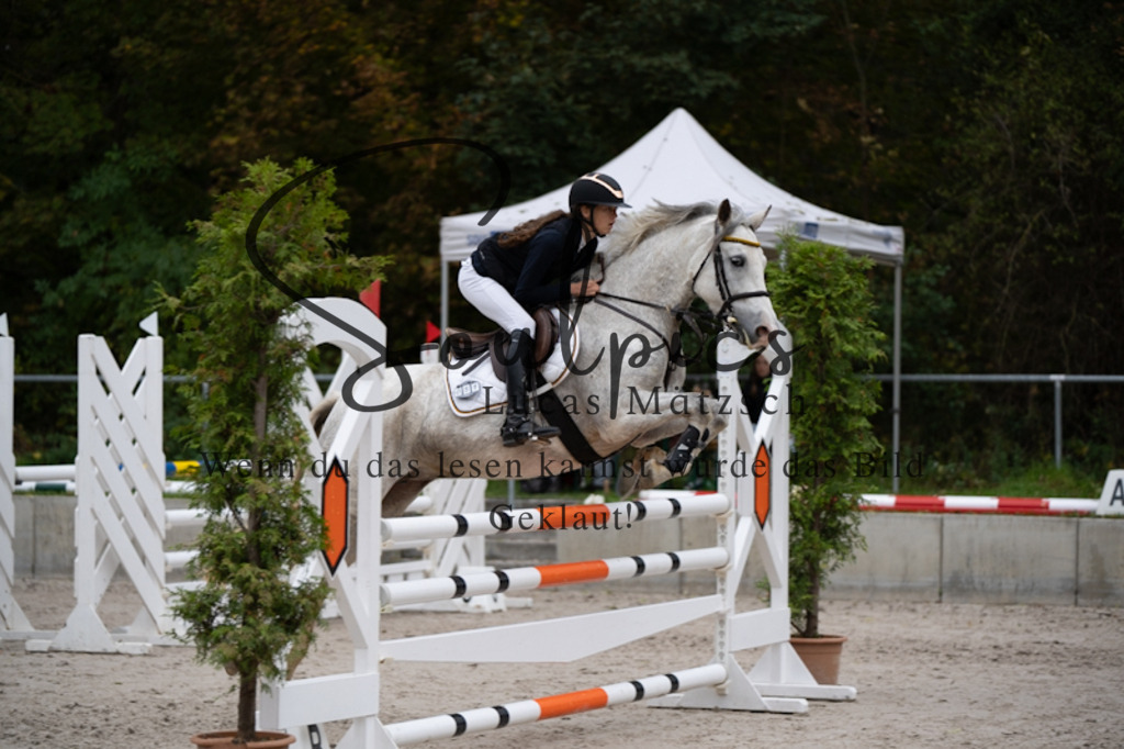 A7V00055 | Pferdefotograf