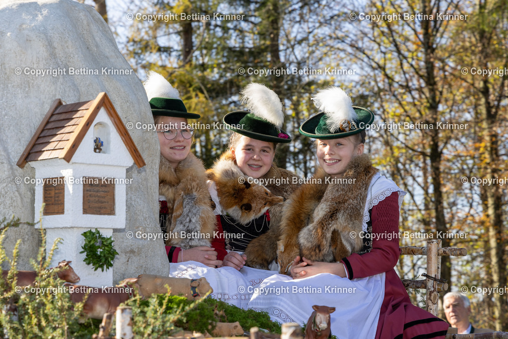 LBT24-1493 | foto-bettina-krinner - Realisiert mit Pictrs.com