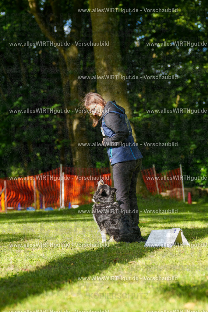 @allesWIRTHgut_Tierfotografie - www.allesWIRTHgut.de - 082624-7R506183 | Professionelle Tierfotografie in Mönchengladbach von Daniel Wirth (allesWIRTHgut). Liebevolle & natürliche Bilder von Hunden & Katzen für unvergessliche Erinnerungen.