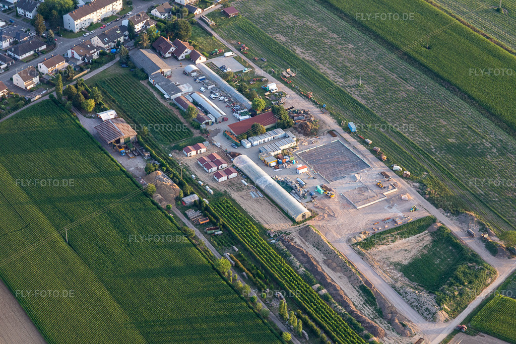 Luftbild: Kugelmann Biogemüße in Kandel im Bundesland Rheinland-Pfalz in Deutschland. Foto: IMG_121064.jpg vom 23.07.2020 durch Werner Riehm/FLY-FOTO.de