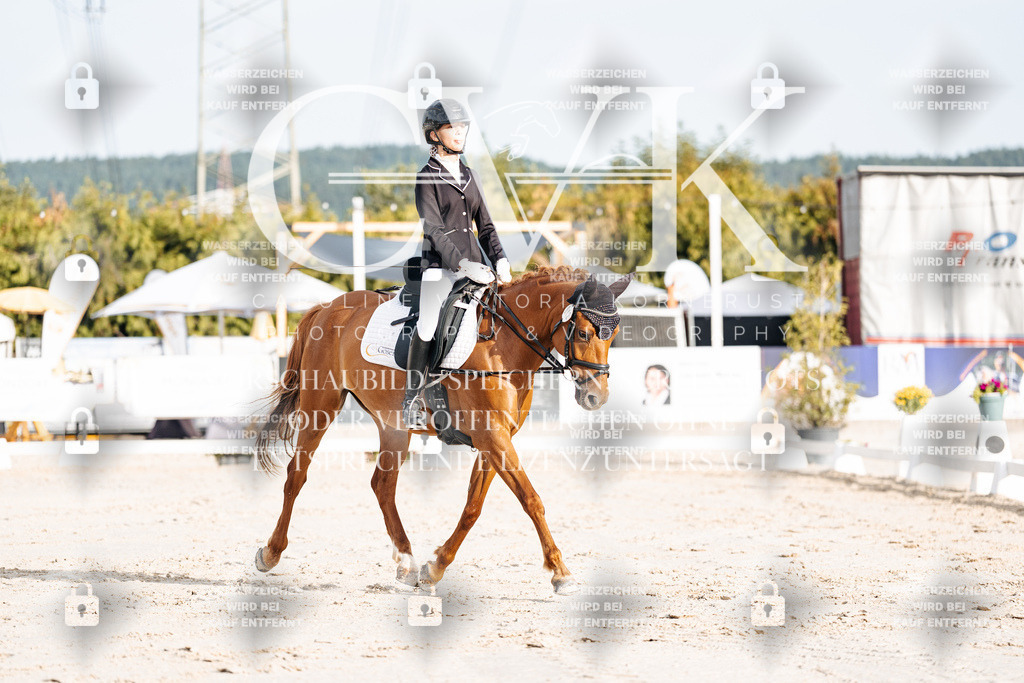 CK903759 | Turnierfotografie Pferdefotografie Trier Rheinland-Pfalz Pferdesport Reitsport Tierfotografie Sportfotografie Pferdevideo Pferdevideografie Equestrianvideography equestrianphotography  - Realisiert mit Pictrs.com