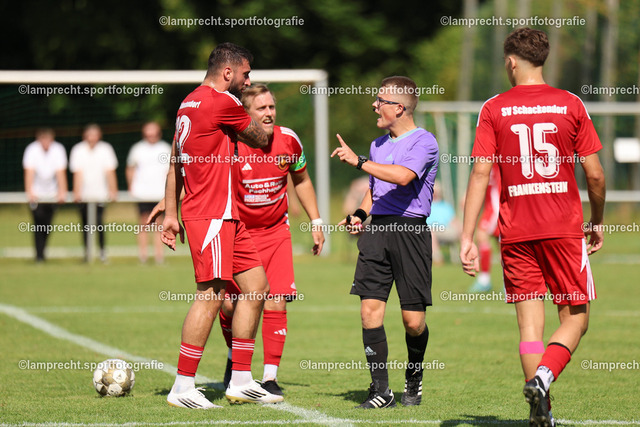 Fußball I Herren I Saison 2025-2026 I Verbandsliga Süd I 7. Spieltag I SV Schackendorf - SV Azadi Lübeck I 06.09.2025.088 | v.l. Robin Maurice Singh (42, SV Schackendorf) und Jorrit Bernoth (16, SV Schackendorf) beschweren sich bei Malik Matthies (Schiedsrichter) - Realisiert mit Pictrs.com