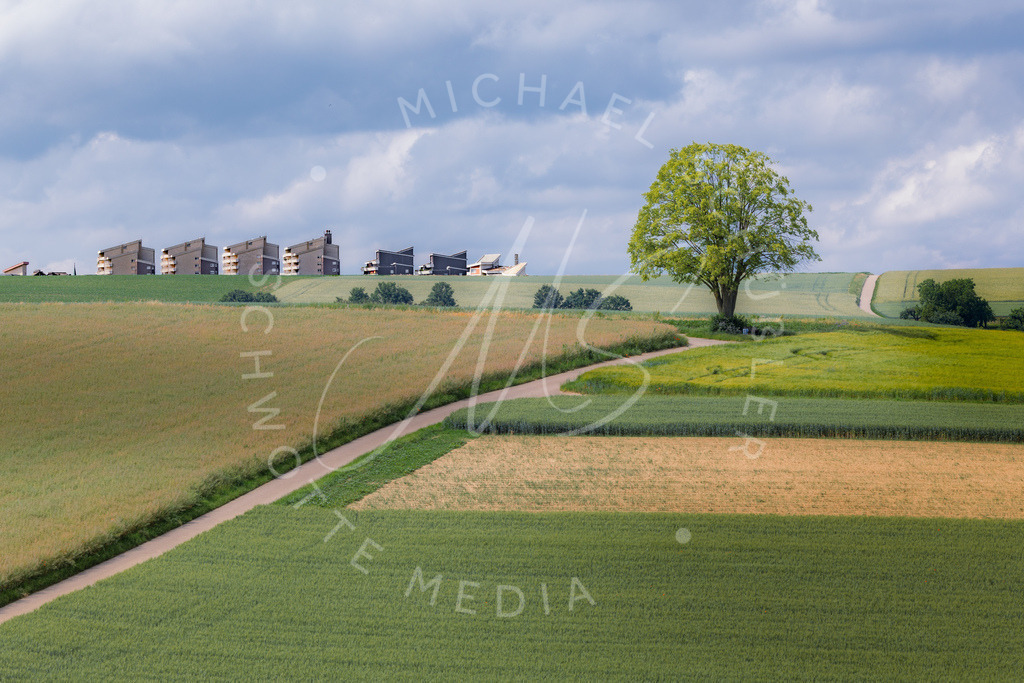 2025-06-15 Hemmingen Felder 007 | Schwotte Media - Realisiert mit Pictrs.com