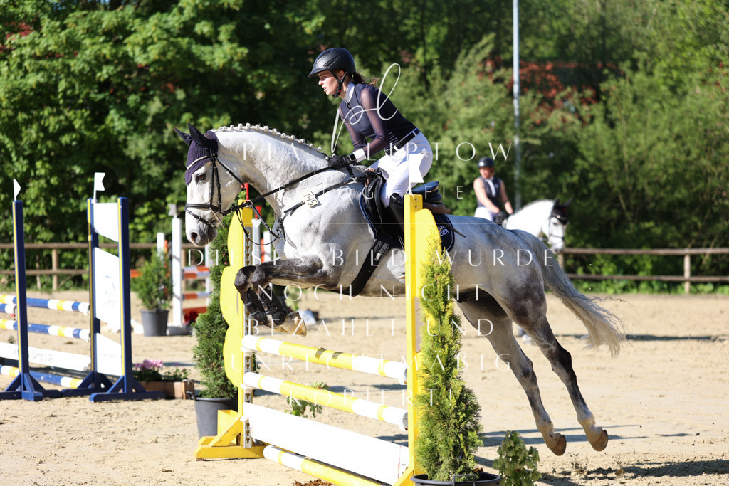 IMGS5579 | pl-fotografie