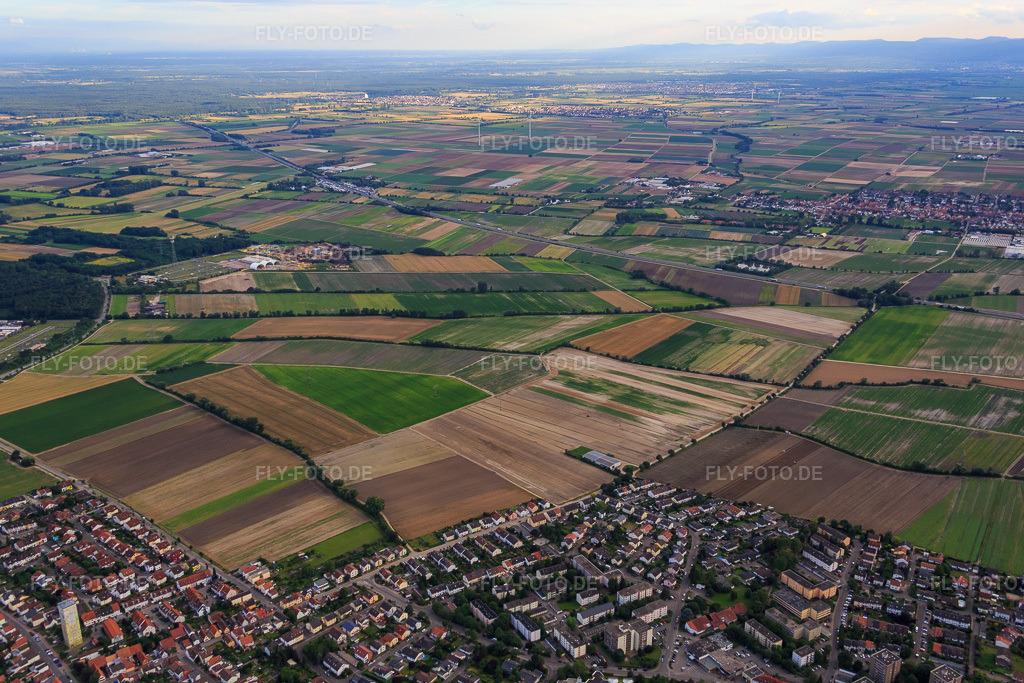 Luftbild: Von-Ketteler-Straße in Mutterstadt im Bundesland Rheinland-Pfalz in Deutschland. Foto: IMG_091025.jpg vom 04.07.2016 durch Werner Riehm/FLY-FOTO.de