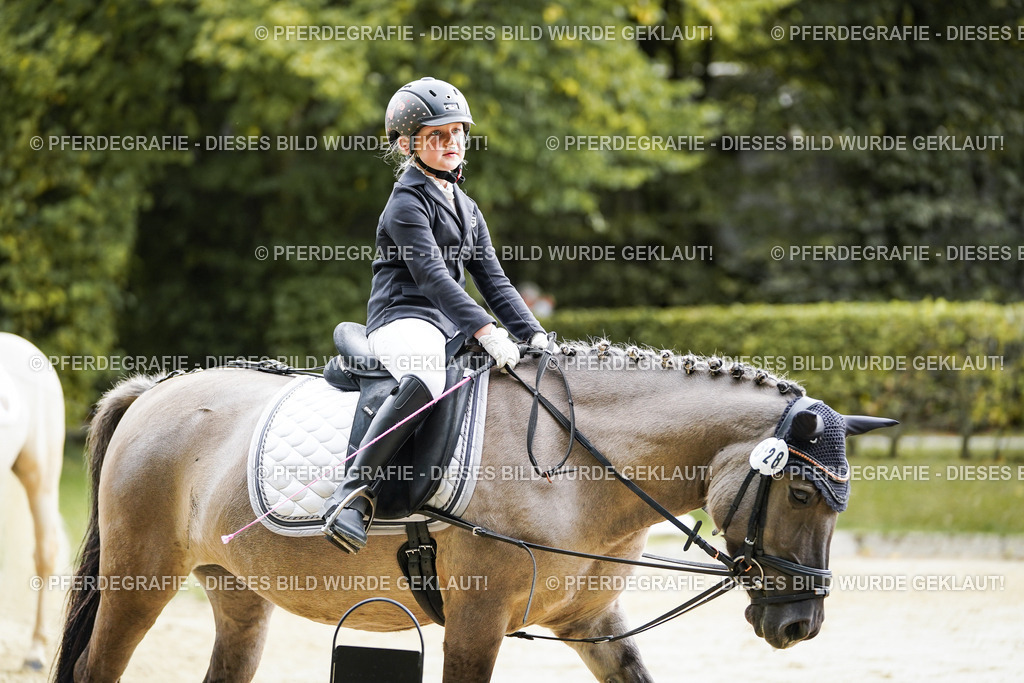 DSC05662 | Pferdegrafie