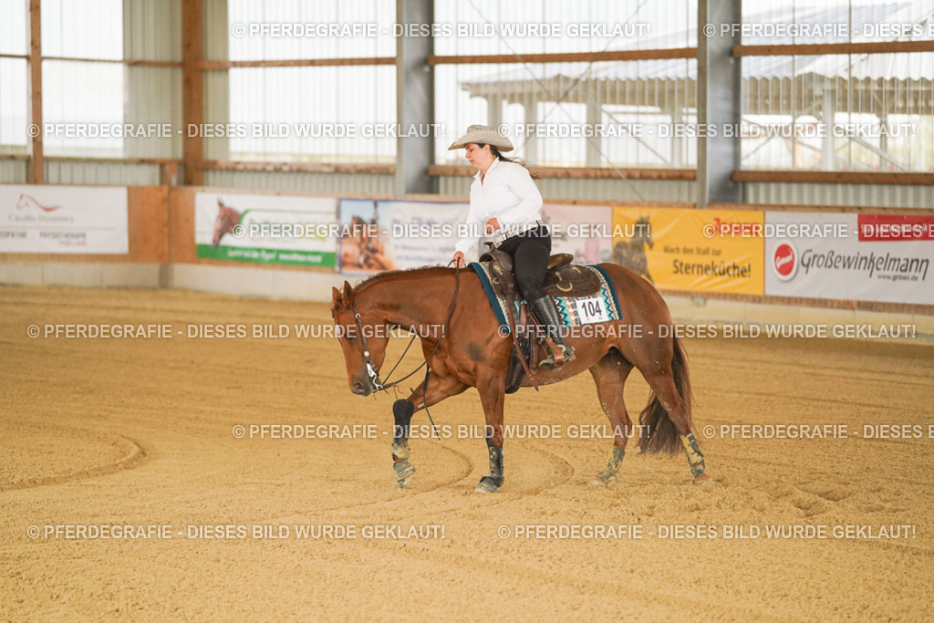 DSC00312 | Pferdegrafie