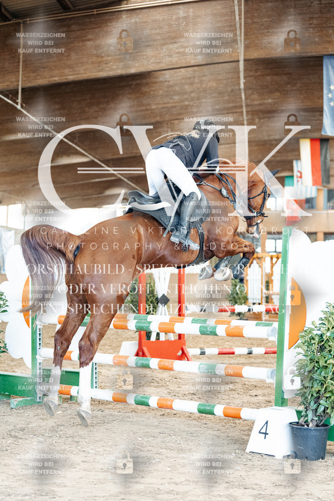 CK905047 | Turnierfotografie Pferdefotografie Trier Rheinland-Pfalz Pferdesport Reitsport Tierfotografie Sportfotografie Pferdevideo Pferdevideografie Equestrianvideography equestrianphotography  - Realisiert mit Pictrs.com