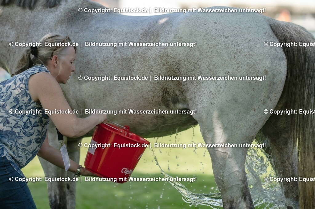 20230527_27_CCI4_Gelände_0060 | equistock