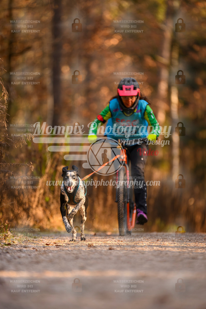 MompixPhotography_DM_AKDM_SO_2025_Scooter-201 | PayLife