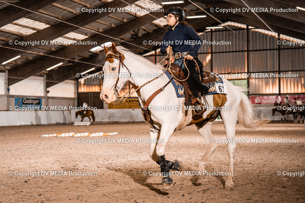 ZH300133 | dv-media-shop - Realisiert mit Pictrs.com