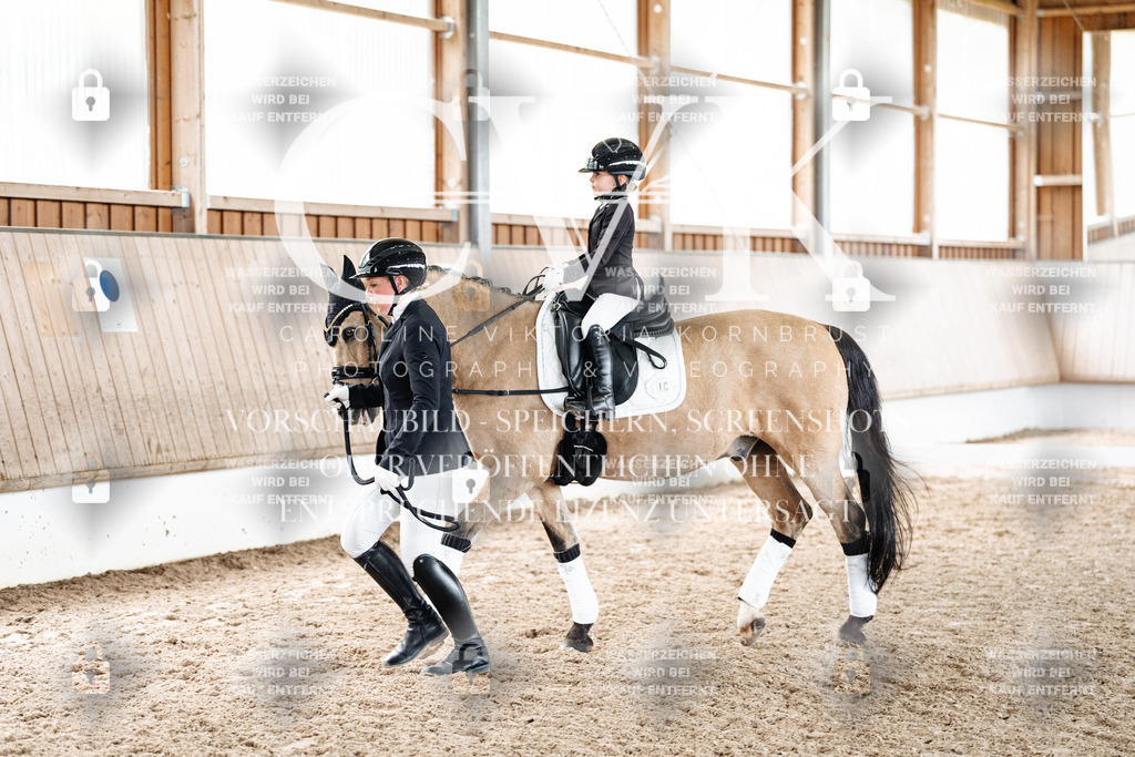 CK901827 | Turnierfotografie Pferdefotografie Trier Rheinland-Pfalz Pferdesport Reitsport Tierfotografie Sportfotografie Pferdevideo Pferdevideografie Equestrianvideography equestrianphotography  - Realized with Pictrs.com