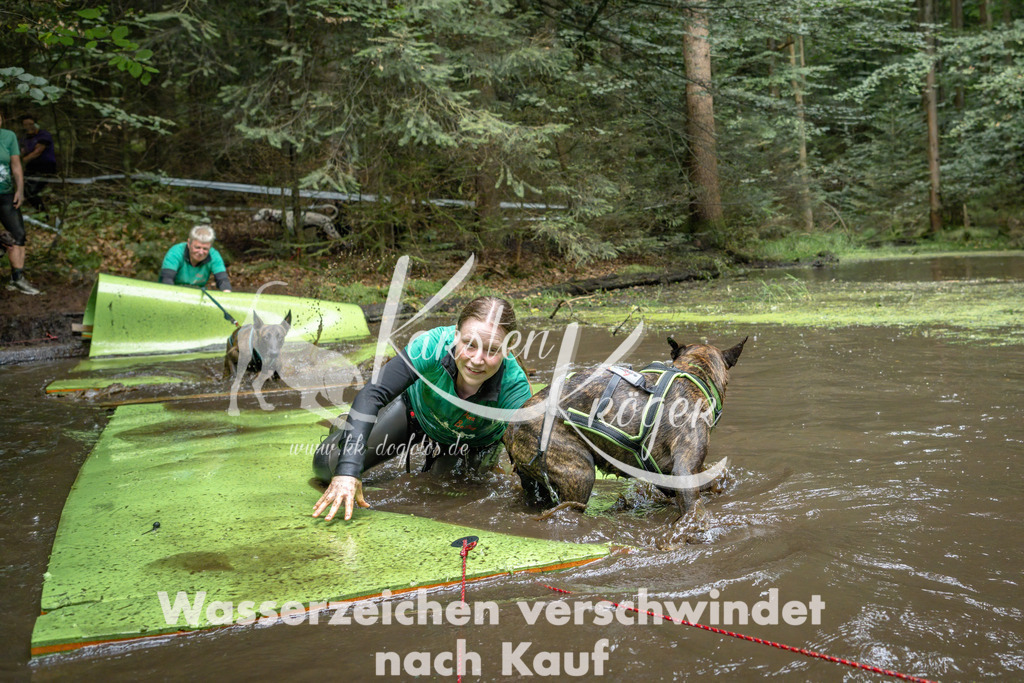 1526_ZZ90618-Bearbeitet | kk-dogfotos
