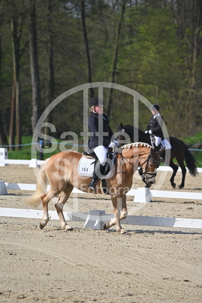 DSC_0341 | sattelsport - Realisiert mit Pictrs.com