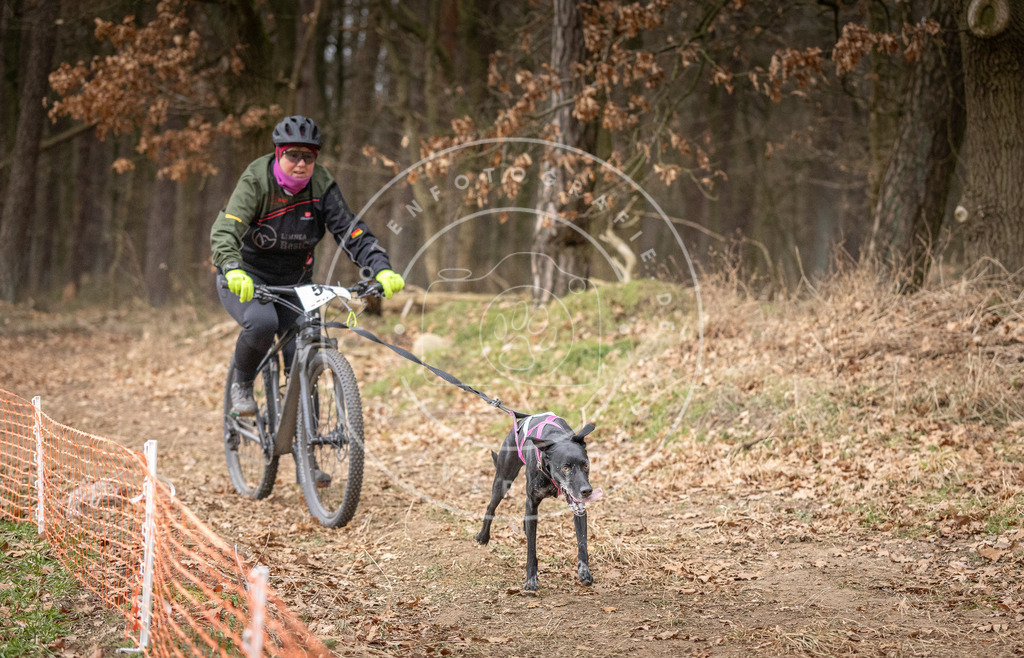 Pfotenfotografie_DV3A1917 | Hundefotografie, Tierfotograf, Pfotenfotografie, Fotoshooting Hund, Hunde Portrait, Hundesport, Hundeportraits, Heideshooting, Hunde, Sportfotograf, Hundefotograf, Turnierhundsport, THS,  - Realisiert mit Pictrs.com