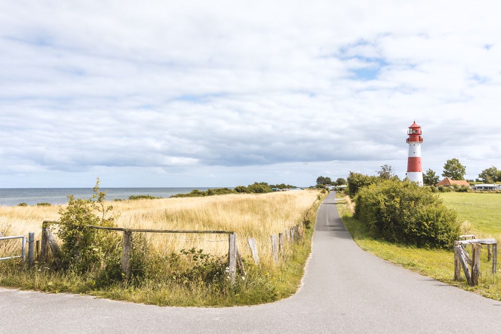 Wandbild: Küstenweg Falshöft - Zum Leuchtturm an der Geltinger Bucht | Dieses einladende Wandbild fängt die entspannte Atmosphäre in Falshöft perfekt ein. Der Küstenweg führt vorbei an den goldenen Wiesen des Deichs direkt auf den ikonischen rot-weißen Leuchtturm zu, während links das ruhige Meer der Ostsee hervorblitzt. Die warmen Naturtöne und die weite Komposition vermitteln ein Gefühl von Gelassenheit und Ankommen – ein stilvolles Kunstwerk für anspruchsvolle Wohnräume.