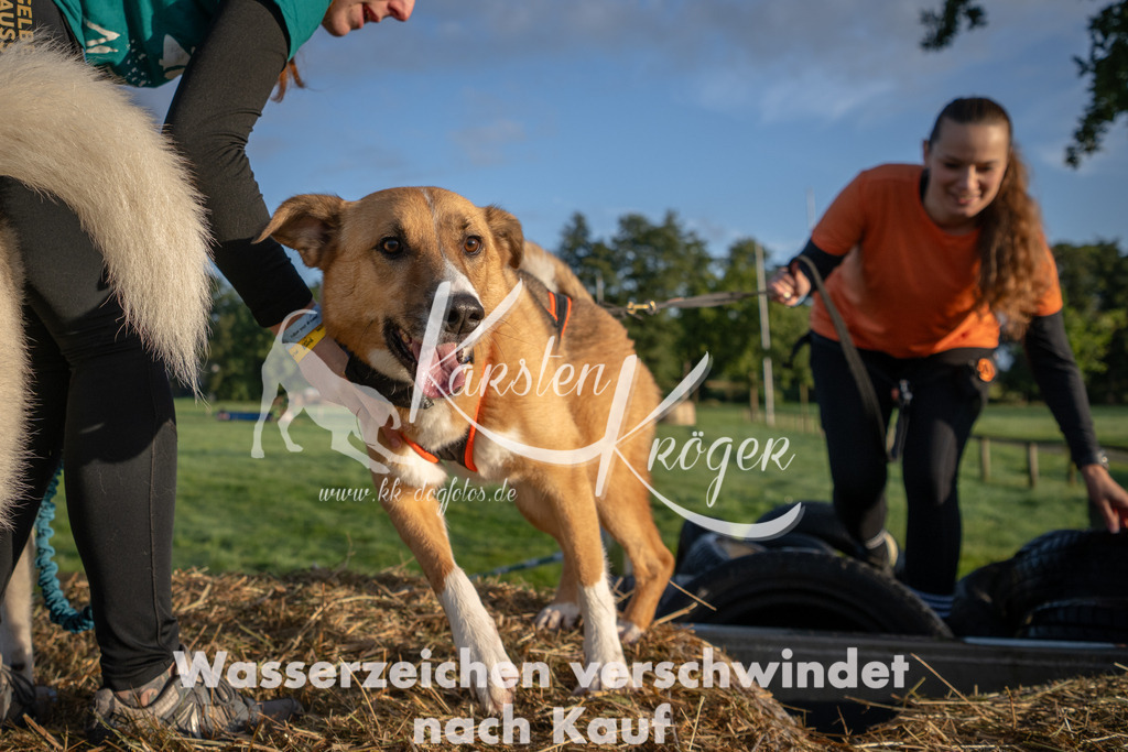 0808_ZZ90459 | kk-dogfotos