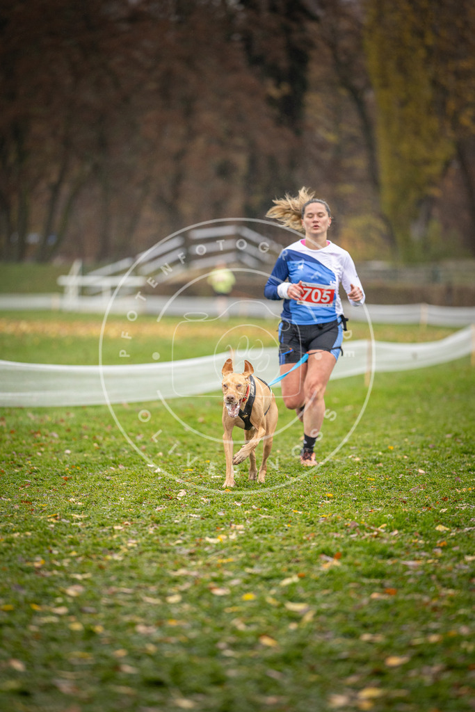 CaniXpix_DV3A9401 | Hundefotografie, Tierfotograf, Pfotenfotografie, Fotoshooting Hund, Hunde Portrait, Hundesport, Hundeportraits, Heideshooting, Hunde, Sportfotograf, Hundefotograf, Turnierhundsport, THS,  - Realisiert mit Pictrs.com