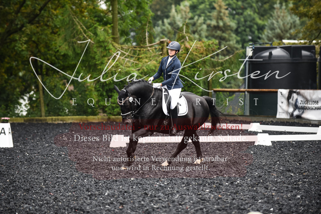 DSC_2873 | Pferde- und Turnierfotografie in Westsachsen. Pferdeportraits, Auftragszeichnungen und intuitive Kunst.