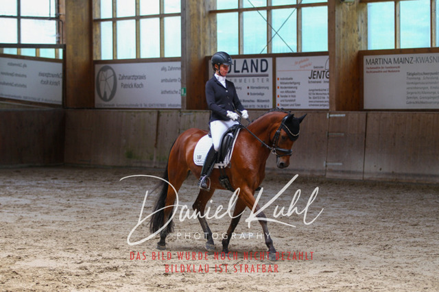 DKP43322 | Turniersportfotografie; Pferdefotografie; Dressurfotografie