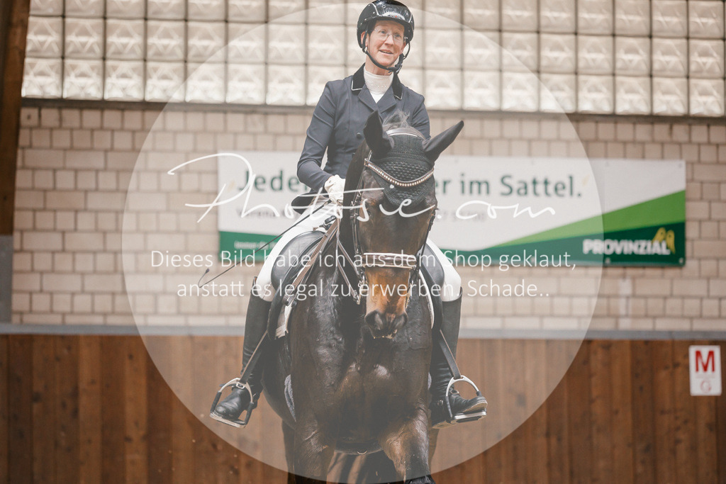 3I6A8264 | Stimmungsvolle Portraits und Reitsportfotografie im Ruhrgebiet und im Münsterland.

Pferdefotografie, Hundefotografie, Tierfotografie, Reportagen, Portraits von Tier und Mensch, Turnierfotografie in Bochum, Recklinghausen, Marl, Haltern am See, Dülmen.. - Realisiert mit Pictrs.com
