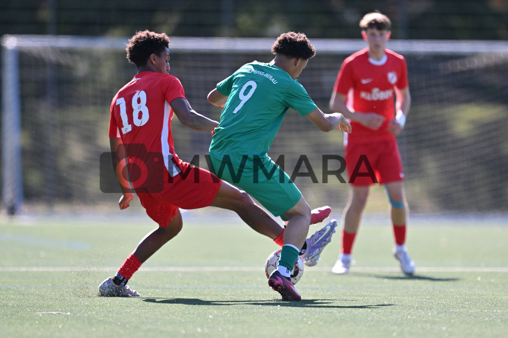 250511_EP__4640 | MWMARA - Realisiert mit Pictrs.com