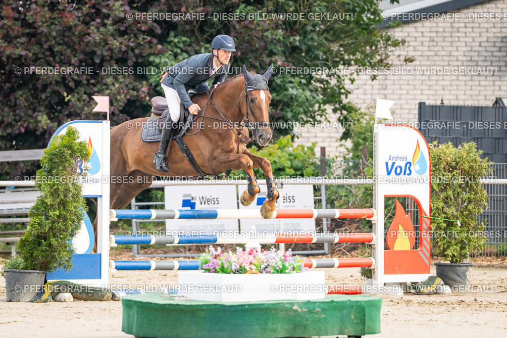 DSC08834 | Pferdegrafie