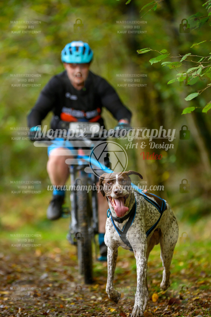 MompixPhotography_20TSB_E1_Bike-43 | PayLife