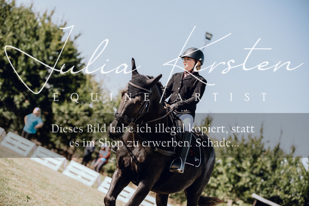 DSC_6915 | Pferde- und Turnierfotografie in Westsachsen. Pferdeportraits, Auftragszeichnungen und intuitive Kunst.