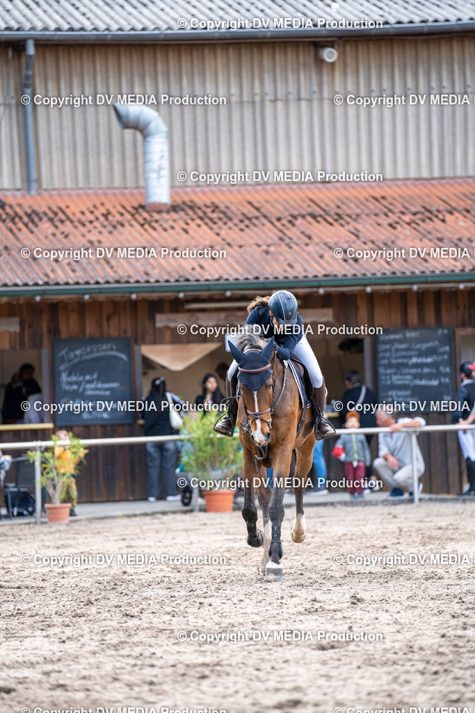 Eppelheim Tag 2-605 | dv-media-shop - Realisiert mit Pictrs.com