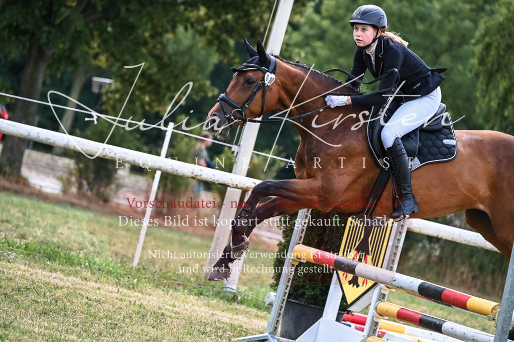 DSC_8475 | Pferde- und Turnierfotografie in Westsachsen. Pferdeportraits, Auftragszeichnungen und intuitive Kunst.