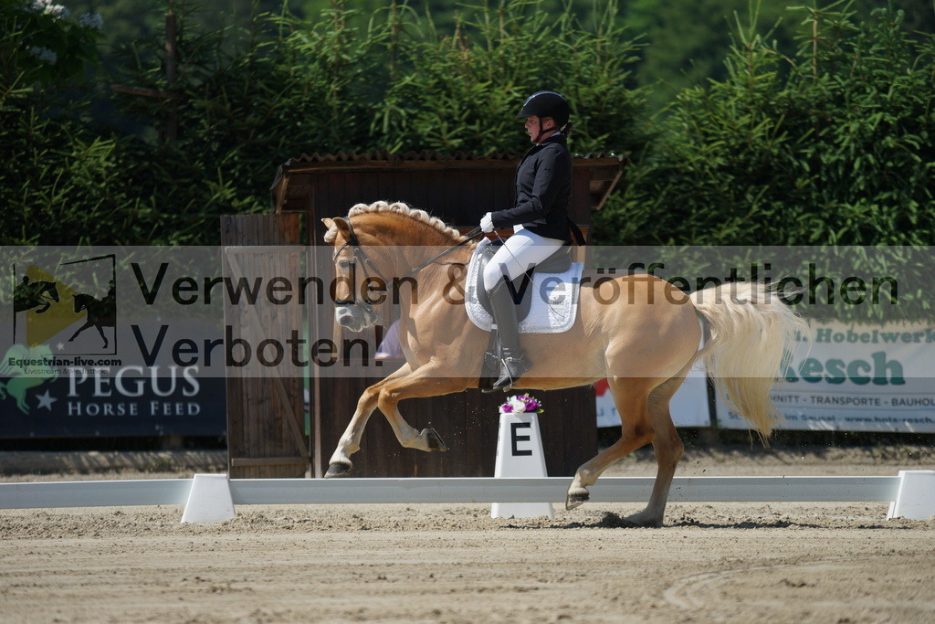 DSC02228 | equestrian-live-com