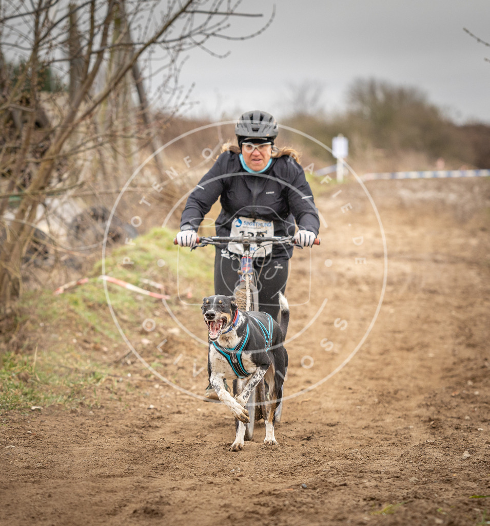 DV3A1392 | Hundefotografie, Tierfotograf, Pfotenfotografie, Fotoshooting Hund, Hunde Portrait, Hundesport, Hundeportraits, Heideshooting, Hunde, Sportfotograf, Hundefotograf, Turnierhundsport, THS,  - Realisiert mit Pictrs.com