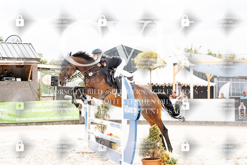 CK901910 | Turnierfotografie Pferdefotografie Trier Rheinland-Pfalz Pferdesport Reitsport Tierfotografie Sportfotografie Pferdevideo Pferdevideografie Equestrianvideography equestrianphotography  - Realisiert mit Pictrs.com
