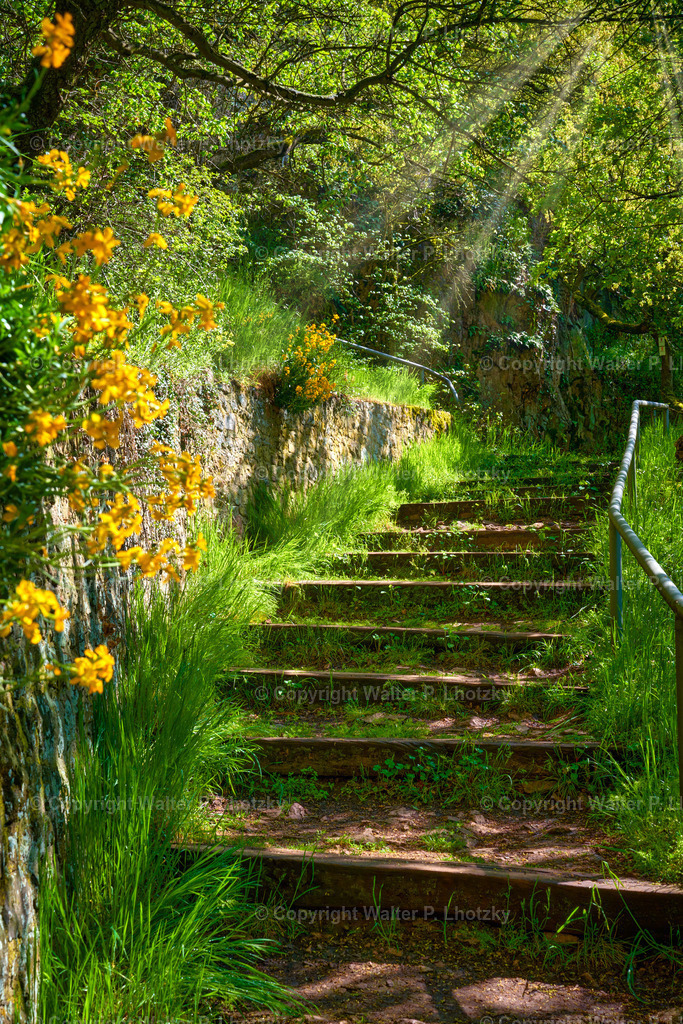 LHO00009 | wlstudio - Realisiert mit Pictrs.com